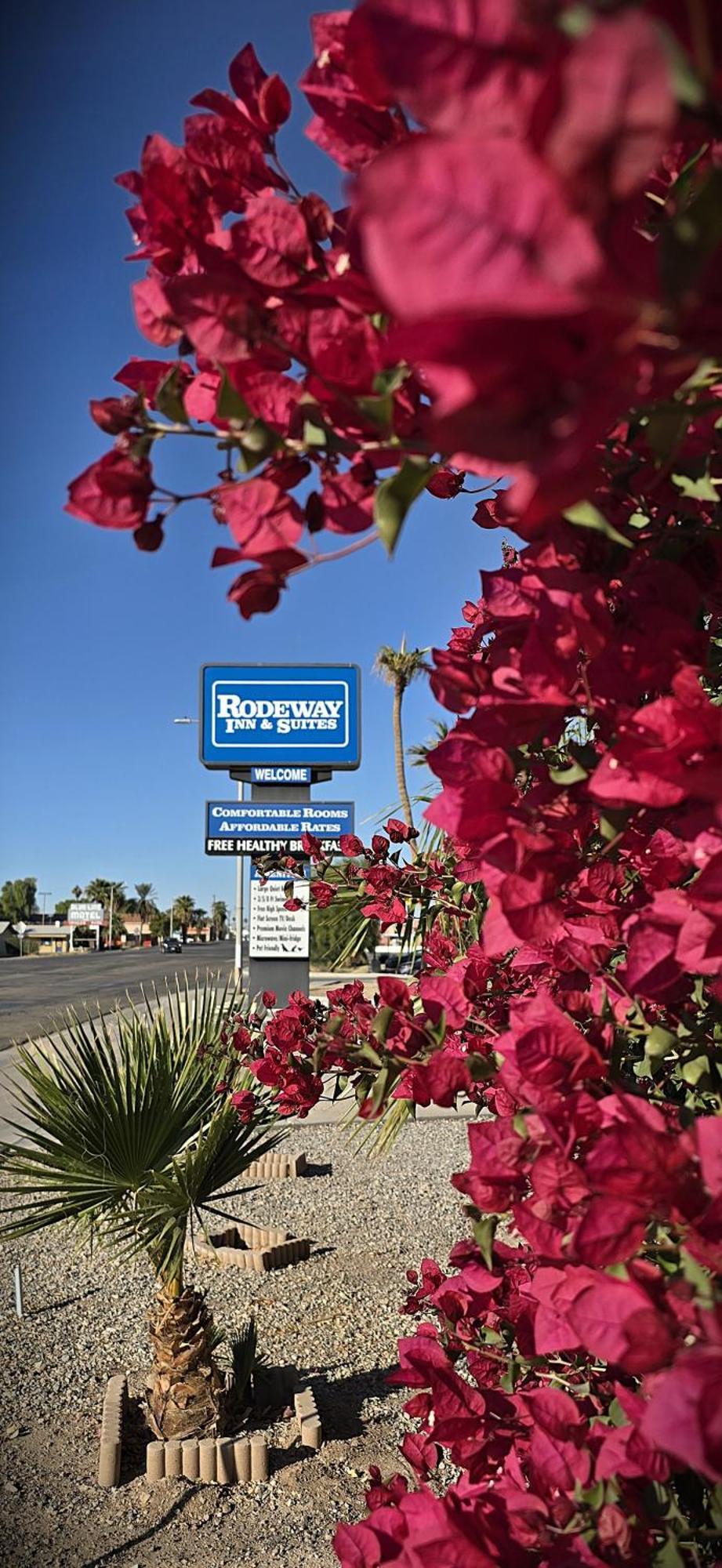 Rodeway Inn & Suites Blythe I-10 Exteriör bild
